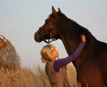 Школа верховой езды: обучение чистке и седловке