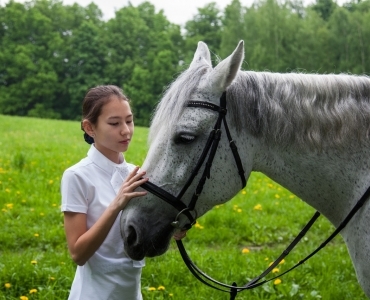 Фотосессии с лошадьми 9