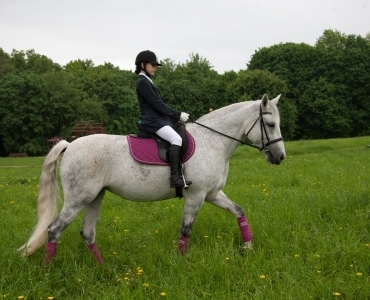 Фотосессии с лошадьми 13