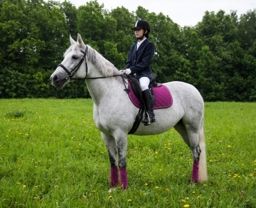 Фотосессии с лошадьми 14