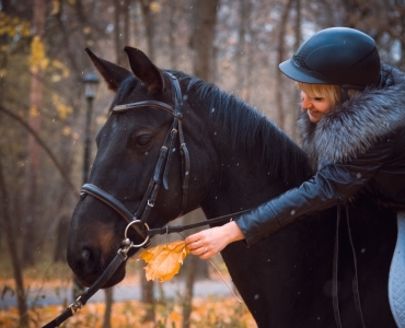 Фотосессии с лошадьми 16