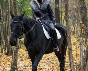 Фотосессии с лошадьми 19