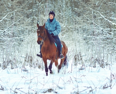 Фотосессии с лошадьми 36