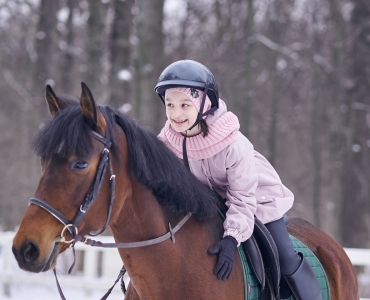 Фотосессии с лошадьми 38