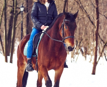 Фотосессии с лошадьми 41