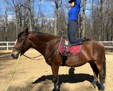 Конный фитнес 4