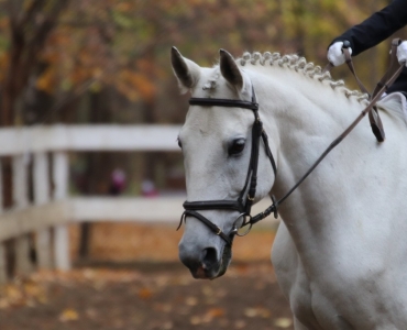 Соревнования