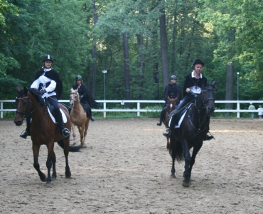 Конные квесты