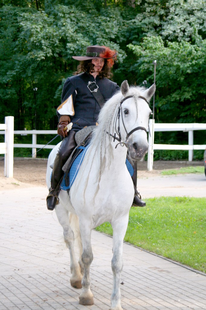 Приключения мушкетеров